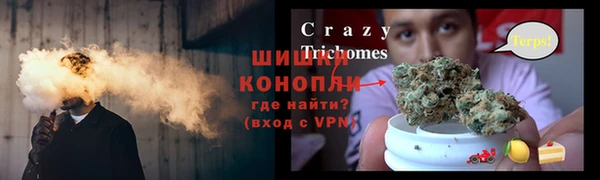 СК Покачи