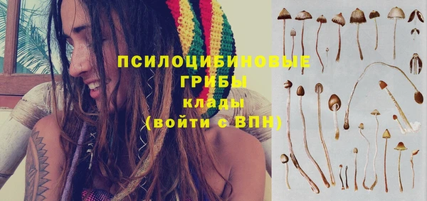 СК Покачи