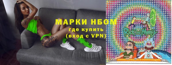 СК Покачи
