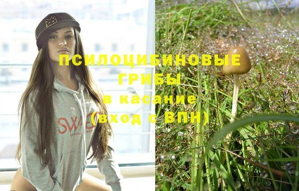 MESCALINE Покров