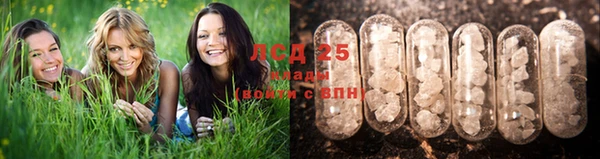 MESCALINE Покров