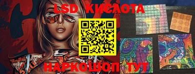 эйфоретик Аргун