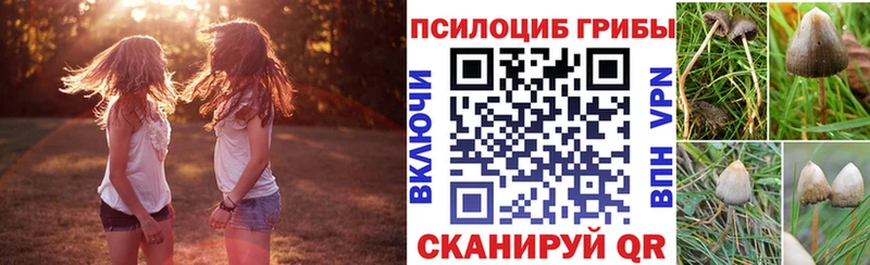 Галлюциногенные грибы ЛСД  цены   shop телеграм  Бахчисарай 