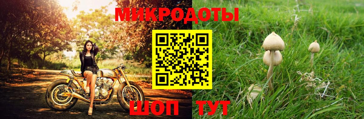 Псилоцибиновые грибы MAGIC MUSHROOMS Бахчисарай